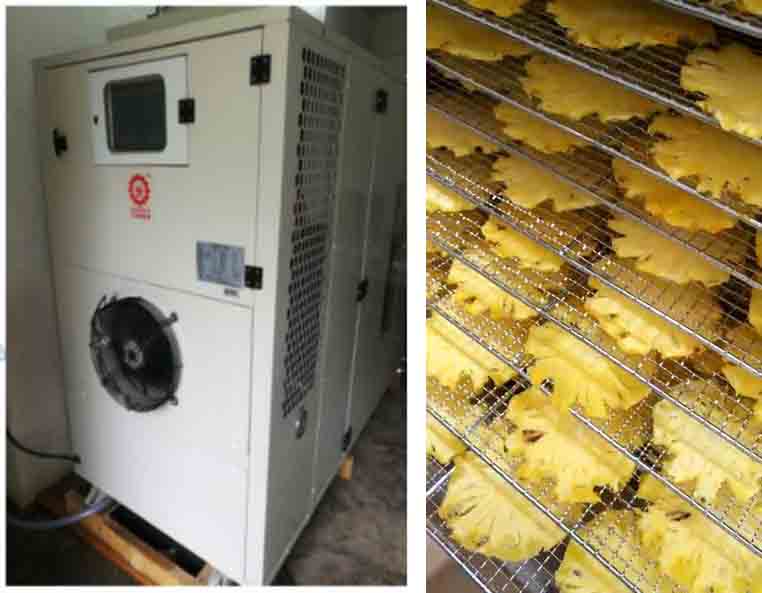 正旭菠蘿烘干工藝（烘干溫度、烘干時間）